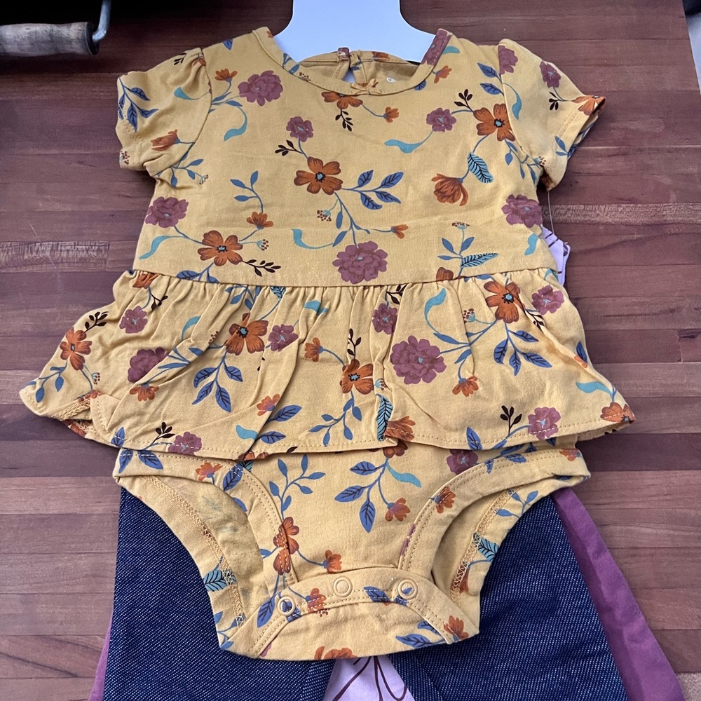Carter's Baby Girl Bodysuits & Pants, 4pc set 9 -12 Months)